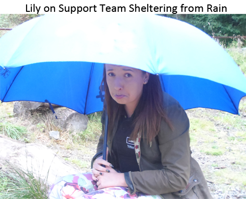 lily Sheltering from rain