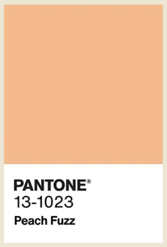 Pantone Color of the Year PEach Fuzz 13-1023
